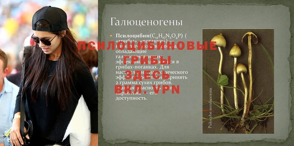 шишки Абинск